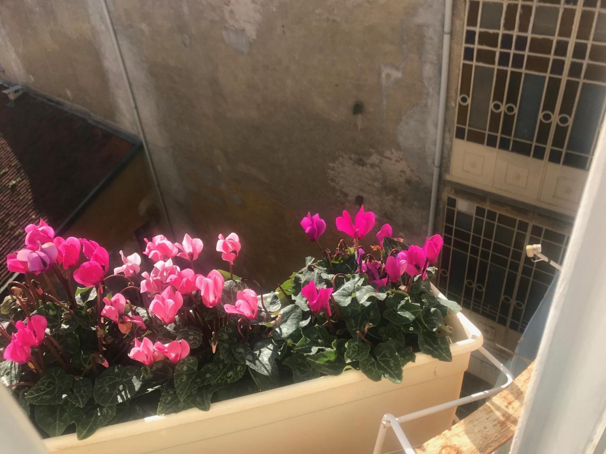 A due passi dal Duomo 2 Hotel Biella Eksteriør billede